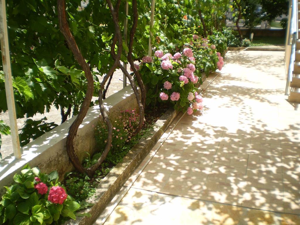 Apartments Tare, Free Parking Vodice Quarto foto