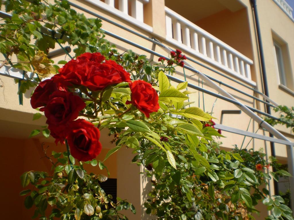Apartments Tare, Free Parking Vodice Quarto foto